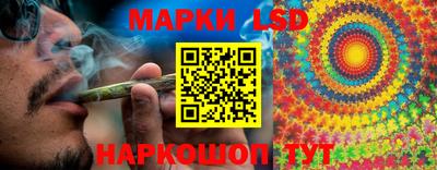 гидропоника Кулебаки