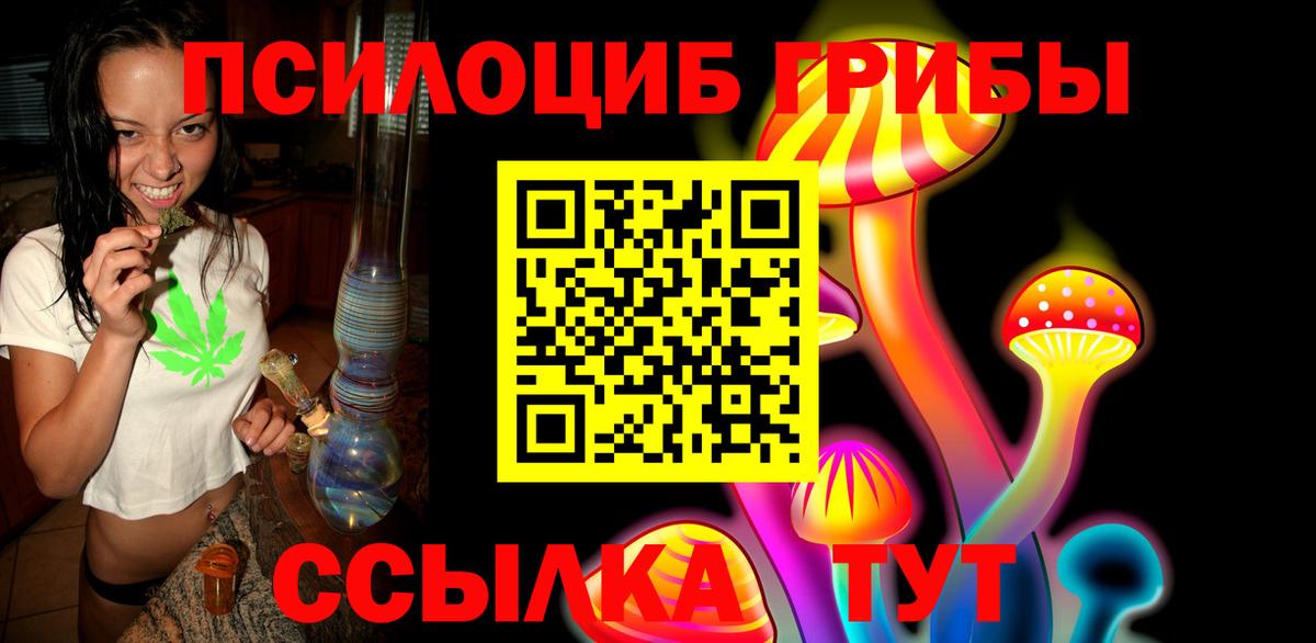 Псилоцибиновые грибы Psilocybe Димитровград